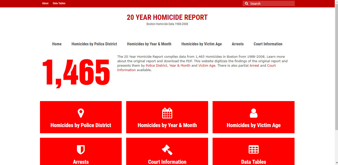 20 Year Homicide Report